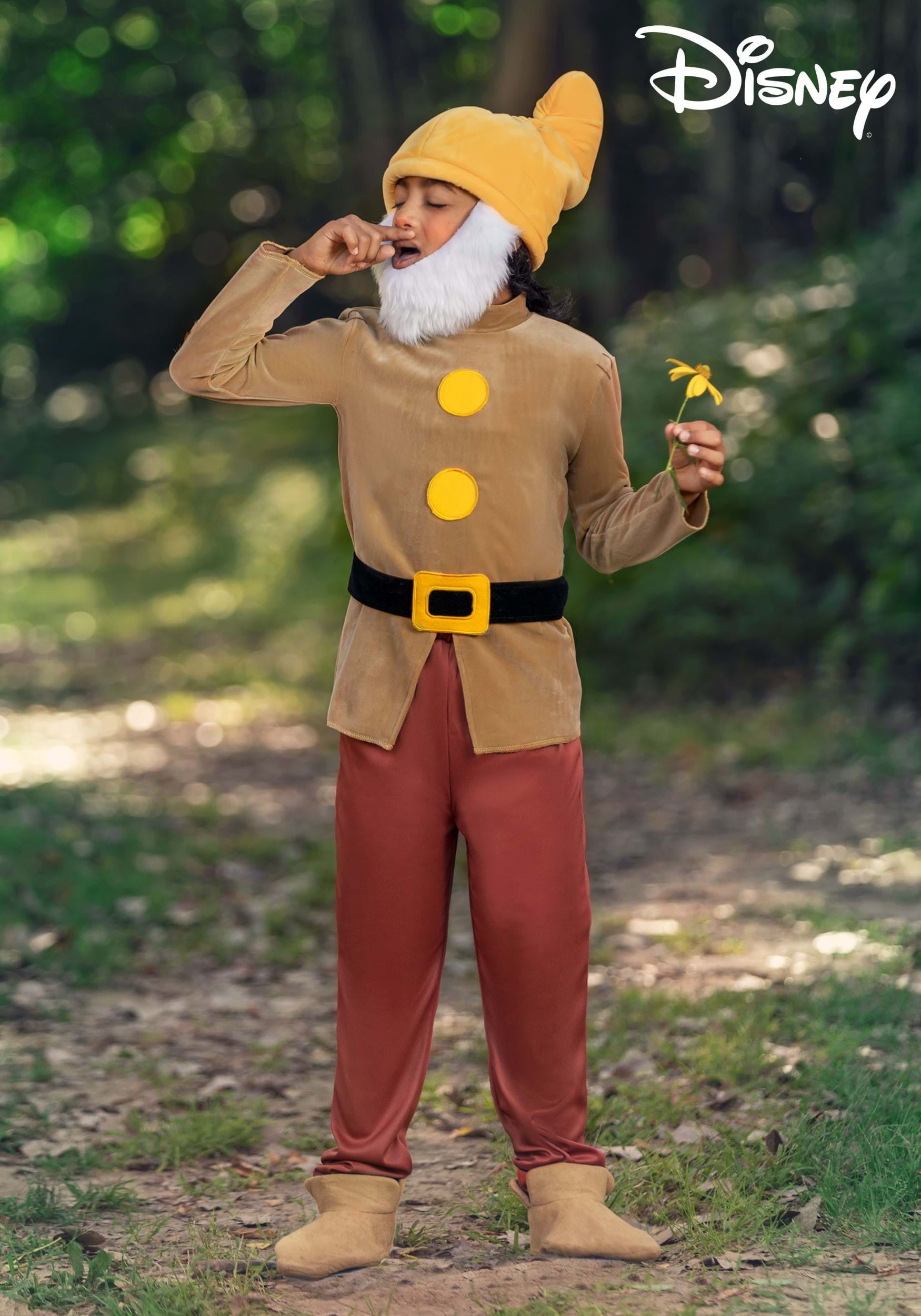 Seven Dwarfs Costumes Diy Visitchile Cl F0fc45e3 2943 4cfb Bcd2 Bcd21b940c33.667165b900d0f49574fd7bfa1cbd3ef6