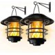 thumbnail image 1 of Solar Lights for Outdoor Garden, Glass and Metal IP65 Waterproof, Flickering Flames Wall Lights, 2-Pack Hanging Wall Mount for Porch, P (FMY), 1 of 5