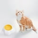 thumbnail image 3 of Comedero para perros y gatos con yema de huevo, bebedero para agua, cuenco para comida para cachorros y gatitos. Cuenco individual, 3 of 9