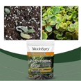 thumbnail image 4 of 1-10 Pcs Mycorrhizal Fungi Organic Root Enhancer, 4 of 5