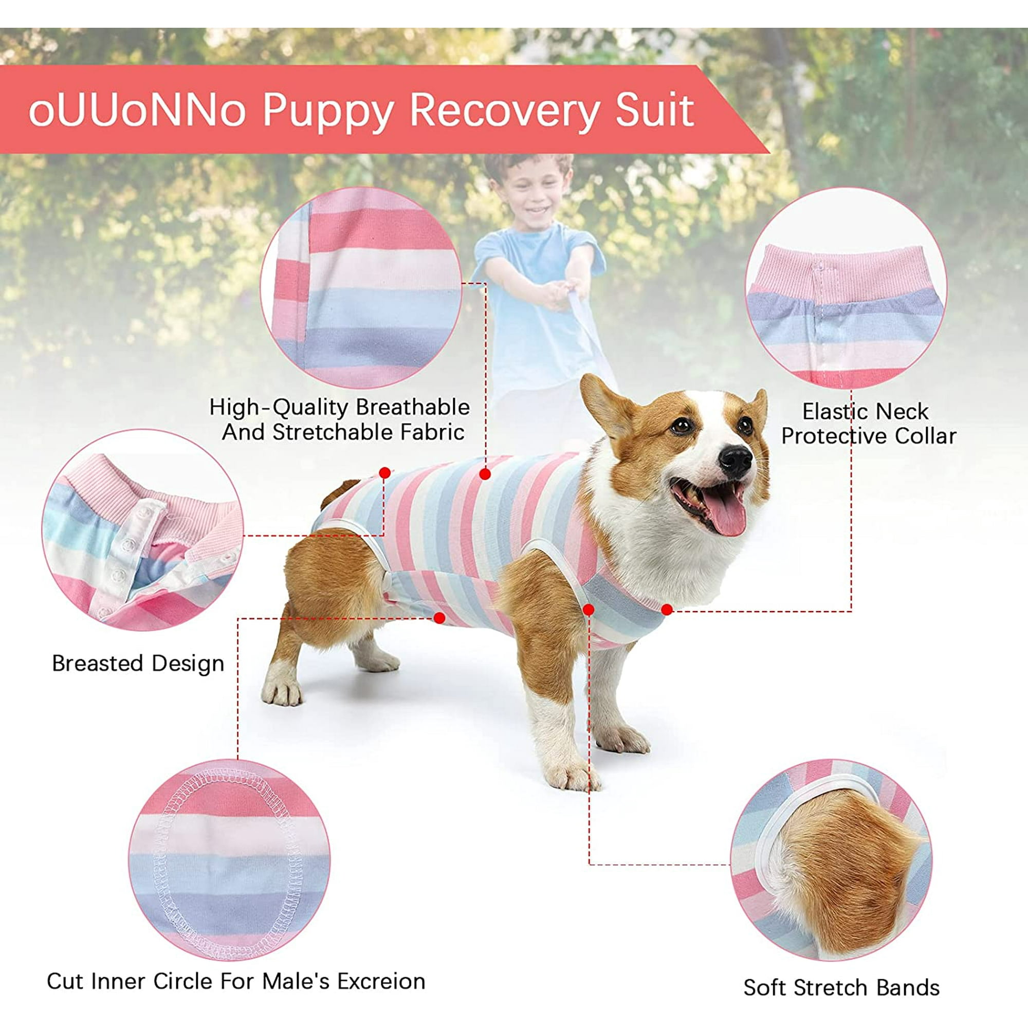 OUUoNNo Cat Recovery Sut For Abdomnal Wounds Or Skn Dseases,E