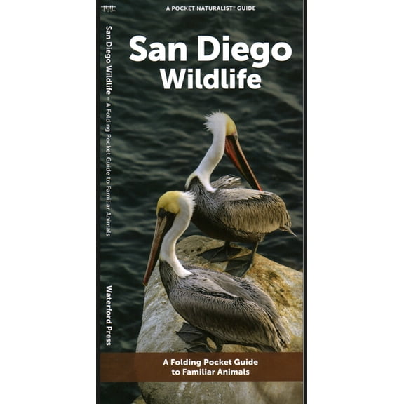 San Diego Wildlife : A Folding Pocket Guide to Familiar Animals (Other)