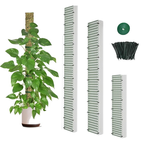D-Shape Moss Pole for Climbing Plants Monstera Moss Plant Pole Handmade Moss Stick for Indoor Plants Grow Upward(40cm 60cm 100cm)