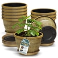 thumbnail image 1 of Whiskey Barrel Planters Lifemaster 10-Pack 25cm Plastic, 1 of 7