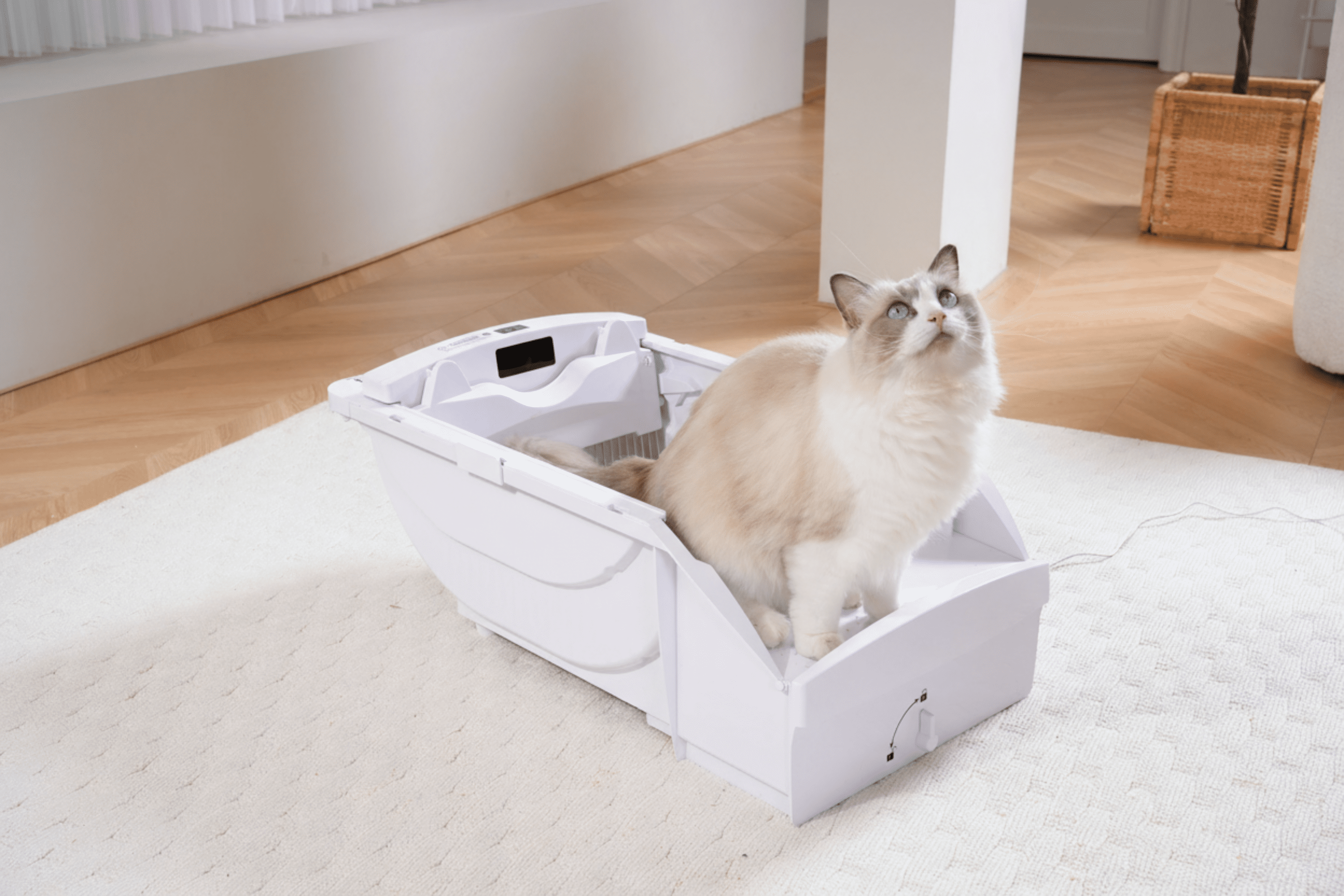 Smart Cat Litter Box Cat Litter Box Wide Opening With Hood