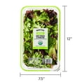 thumbnail image 6 of Marketside Organic Fresh Spinach and Spring Mix, 16 oz, 6 of 7