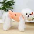 thumbnail image 5 of SPRING PARK Small Dog Knitwear Female Girl Sling Design Strawberry Pattern Winter Warm Dog Princess Dress Clothes, 5 of 7