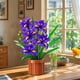 thumbnail image 5 of Set de construcción CUBIMANA Flowers Botanicals Iris con 808 piezas, 5 of 9