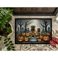 thumbnail image 3 of Carolines Treasures DAC2052JMAT 24 x 36 in. Unisex Shar Pei Spooky Halloween Indoor or Outdoor Mat, 3 of 5