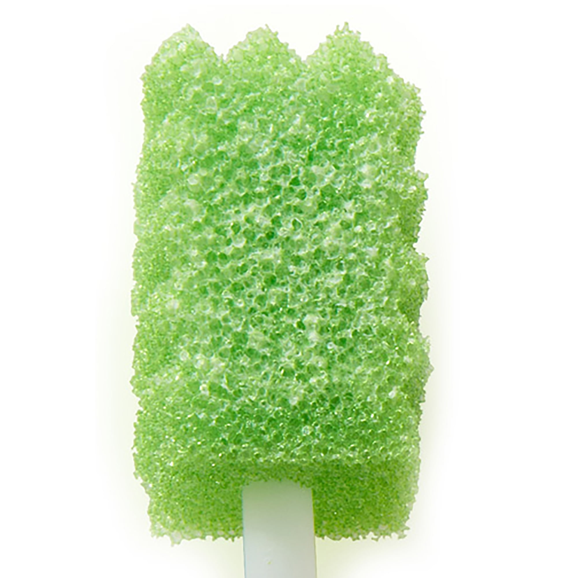 Toothette Plus 6 Inch Length Oral Swab with Green Foam Tip 6120, 200 Ct