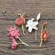 thumbnail image 3 of 5 uds. Broches florales elegantes, broche de ropa, ramillete de aleación, joyería de moda, 3 of 5