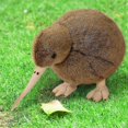 thumbnail image 2 of Kiwi Bird Plush Toy, Stuffed Animal Furry Kiwi Plushie Doll, Soft Fluffy Like Real Bird Hugging Toy - Present for Every Age & Occasion [jkw], 2 of 5