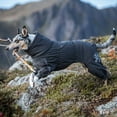 thumbnail image 2 of Hurtta Extreme Overall, Dog Snowsuit, BlackBerry, 12S, 2 of 4