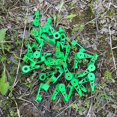 thumbnail image 5 of 60 uds. Clips ajustables de entrenamiento de tallo de planta de 360 ​​grados, Clips de entrenamiento de planta ajustables, Clips ajustables para doblar ramas de planta, 5 of 5