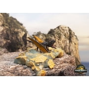Jurassic World Rebirth Captivz Smash N Hatch Dinosaur Collectible Action Figure Ages 3+