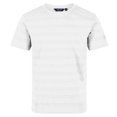 thumbnail image 1 of Regatta - Camiseta Prestyn de Rayas para Hombre (Blanco), 1 of 6