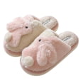 thumbnail image 2 of Fregona de estilo Coco para el hogar, fregona de pelo bonito y cálido para suelo, ropa de abrigo para dormitorio, zapatillas de invierno, otoño e invierno, 2024, 2 of 5