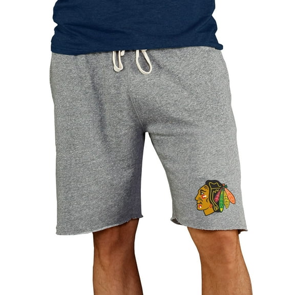 Men's Concepts Sport Gray Chicago Blackhawks Mainstream Terry Shorts