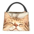 thumbnail image 1 of Fotbe Sleeping Cat In Blanket Bolsa Térmica Portátil con Estampado, Bolsa de Entrega de Alimentos Aislada, Bolsa Reutilizable de Gran Capacidad para Comidas y Supermercado, 1 of 6
