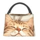 thumbnail image 1 of Fotbe Sleeping Cat In Blanket Bolsa Térmica Portátil con Estampado, Bolsa de Entrega de Alimentos Aislada, Bolsa Reutilizable de Gran Capacidad para Comidas y Supermercado, 1 of 6