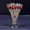 thumbnail image 3 of 100pcs Tooticks Picks Bamboo Eco-friendly Appetizer Skewers For, 3 of 4