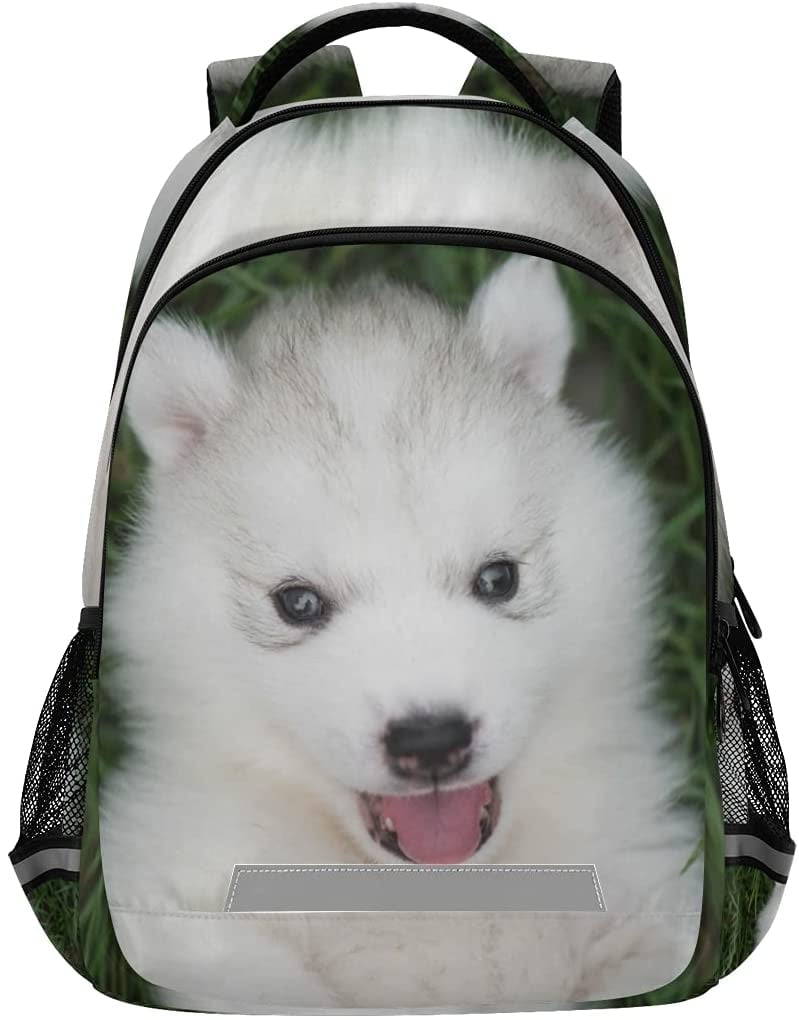 dog backpacks for school