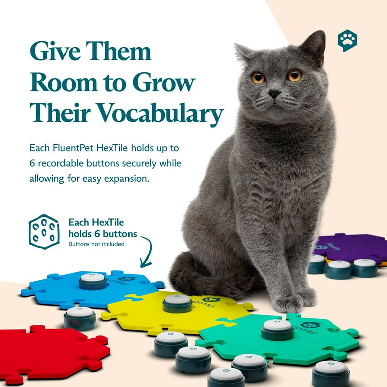 Amazon.com: FluentPet Basic Vocab Kit - Set of 12 Talking