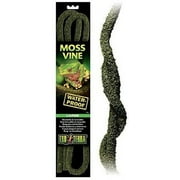 Exo Terra Bendable Moss Vine Large