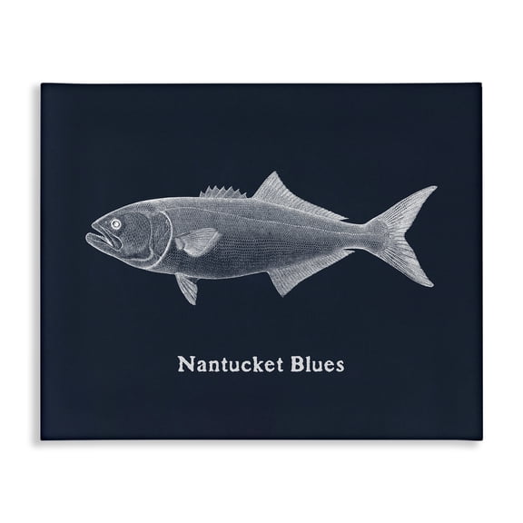 Stupell Industries Nantucket Blues Fish Animals Painting Wrapped Canvas Canvas Art Print Wall Art, 20 x 16