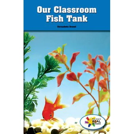 Our Classroom Fish Tank (Best Fish For Classroom Aquarium)
