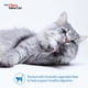 thumbnail image 2 of Snack para gatos INABA Churu Indoor Care de atún y pollo 280 g, 2 of 7