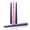 Advent Purple, variant on CANDWAX 10 inch Taper Candles Set of 4 - Halloween Taper Candles Unscented - Tall Candles Long Burning Perfect as Black Halloween Decorations or Dinner Candles - Coal Black Candles