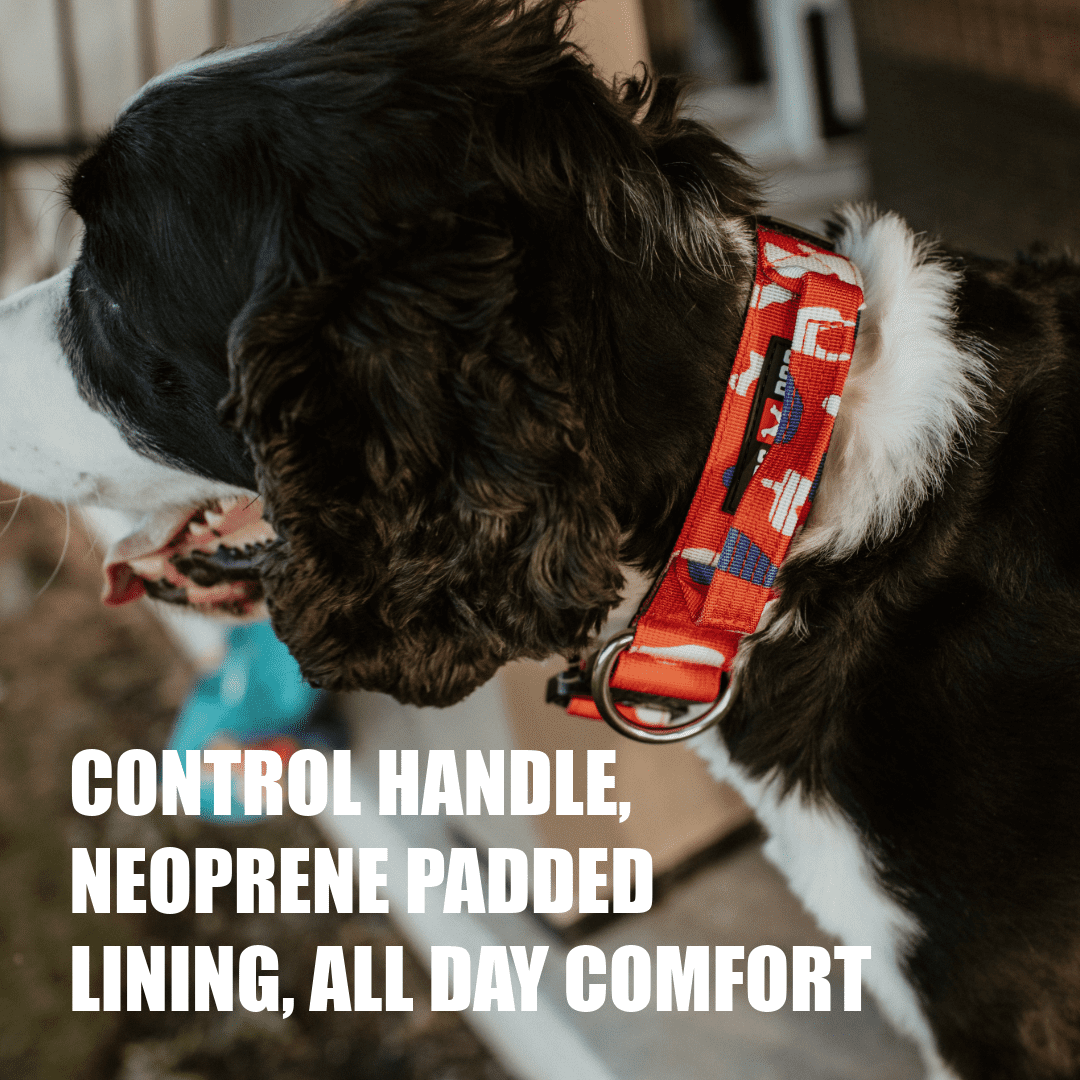 Boss Nation 850036272380 13-16 in. Dog Tactical Adjustable Dog Collar, Red, White & Blue - Small
