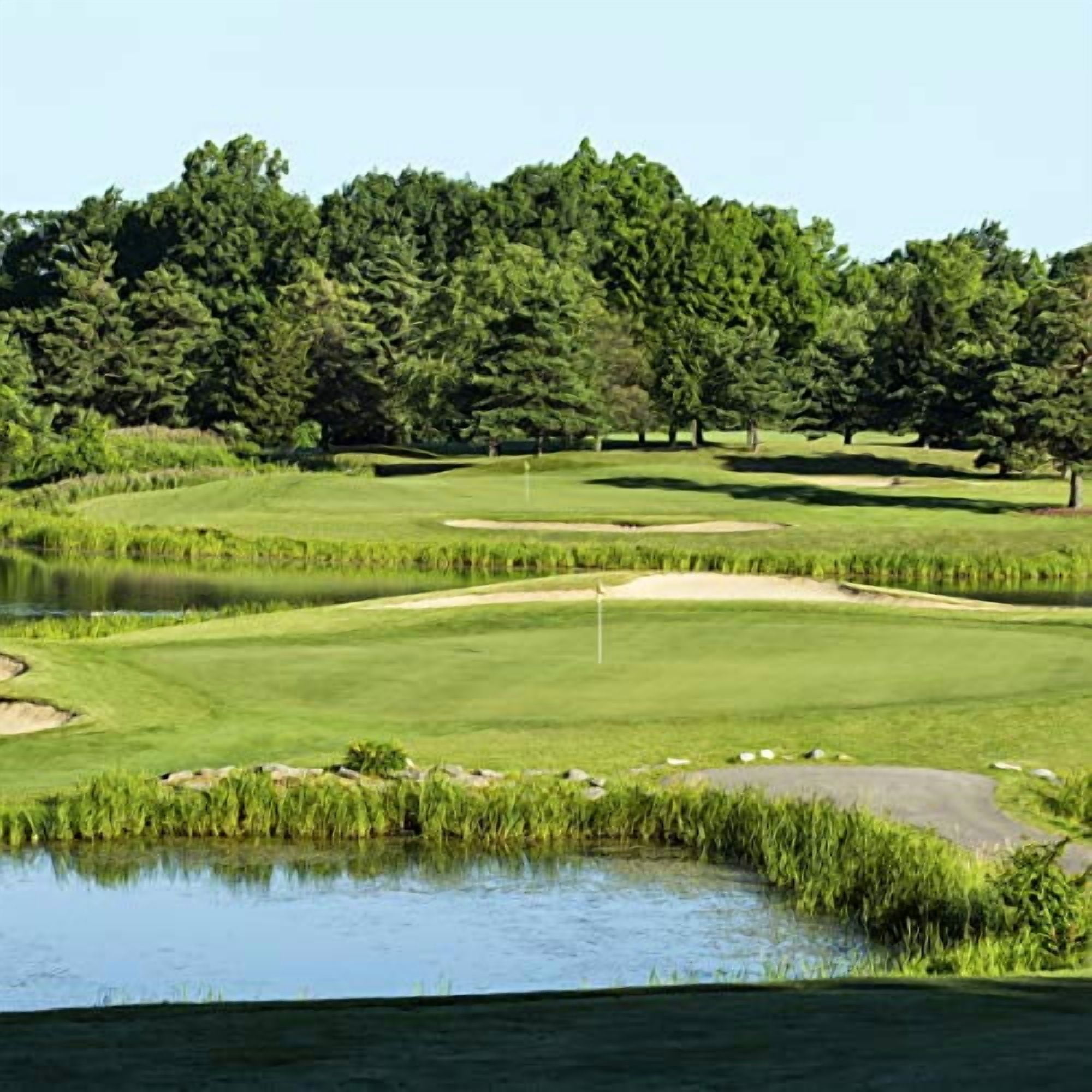 Outsidepride 5 lb. PC2.0 (Penncross) Golf Creeping Bent Grass Seed for Tees, Putting Greens, & Fairways