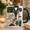 Black, variant on Coach Ceramic Mugs Sports Coach Gift for Team Coach Appreciation