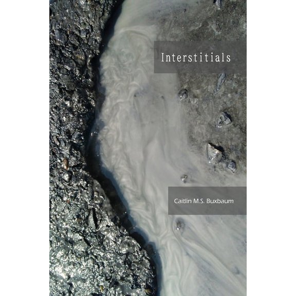 Interstitials (Paperback)