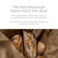 thumbnail image 6 of Breadtopia Sourdough Starter (Dry) , Made from Organic & Non-GMO Ingredients , Easy to Follow Instructions , Make Homemade Sourdough Bread , Sour Dough Starter Dried ,, 6 of 7