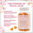 thumbnail image 6 of Prenatal Vitamins for Women – Complete Pregnancy Multivitamin - Folic Acid, Omega 3 DHA, Choline, Vitamin D – Essential Support for Mom's & Baby Brain Development - Tasty Orange Flavor - 120 Gummies, 6 of 9