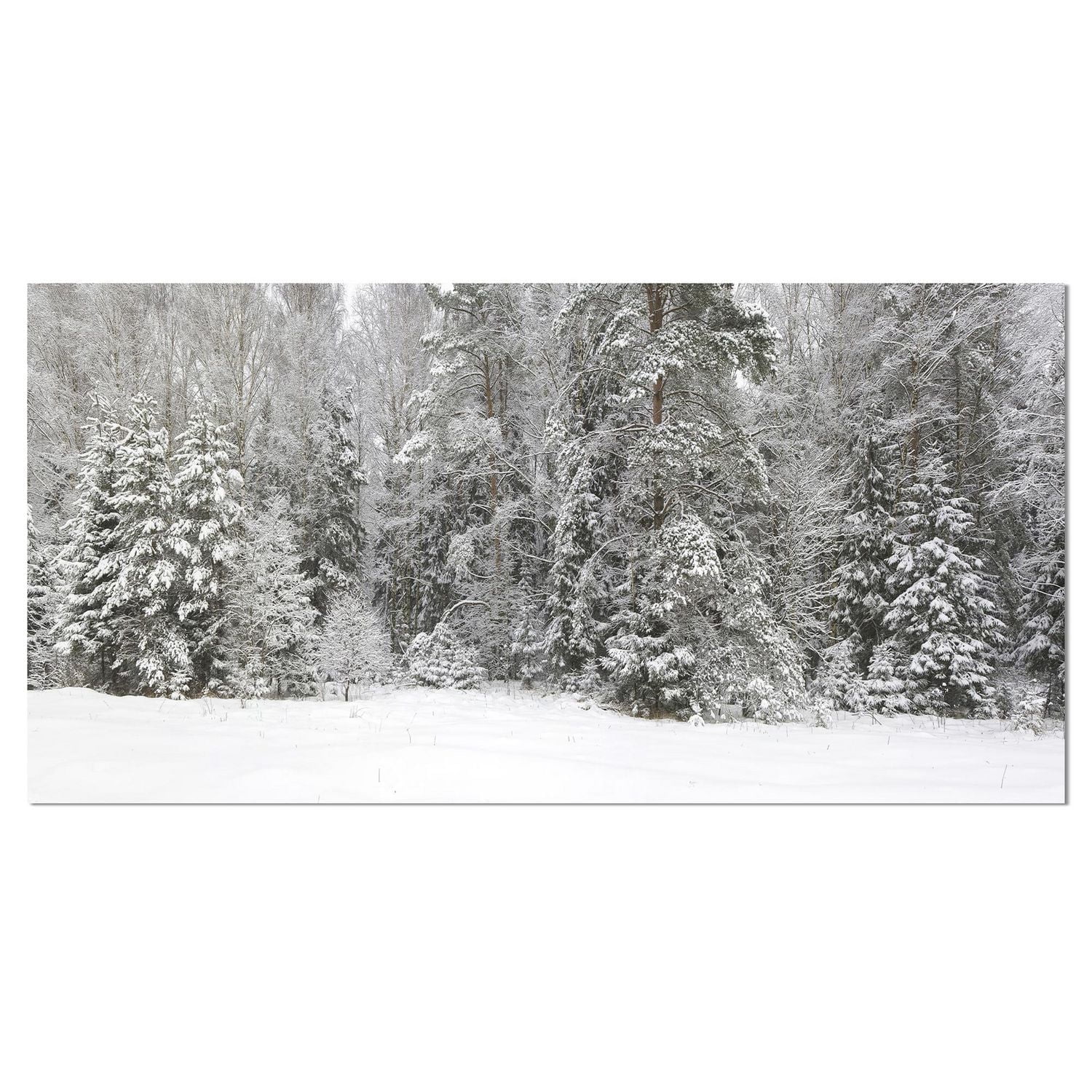 Designart Foggy Winter Forest Panorama Canvas Wall Art