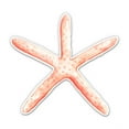 thumbnail image 1 of Starfish - 8" Vinyl Sticker - For Car Laptop I-Pad - Waterproof Decal, 1 of 1