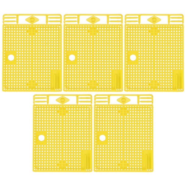 Jaula de introducción de reina, 5 piezas, herramientas de apicultura reutilizables para abejas reinas, equipo de apicultura diseñado para profesionales