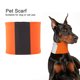thumbnail image 1 of Collar para mascotas, collar reflectante para mascotas, bufanda fluorescente para mascotas, collar para perros ultra sensible, 1 of 8