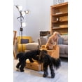 thumbnail image 2 of Escaleras para perros NOAH & PAW Leather, extra anchas, 17 pulgadas, 4 peldaños, 2 of 9