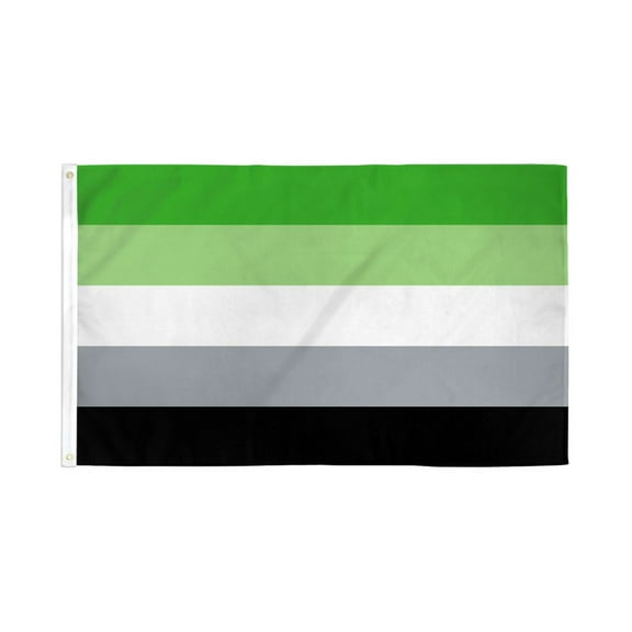 Aromantic Flag 3x5ft Poly