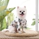 thumbnail image 3 of Nvzi Camiseta para perro y gato, camisetas transpirables para mascotas, sudadera para cachorro, ropa para perro, abrigos para perros pequeños, medianos y gatos, L, A05, 3 of 4