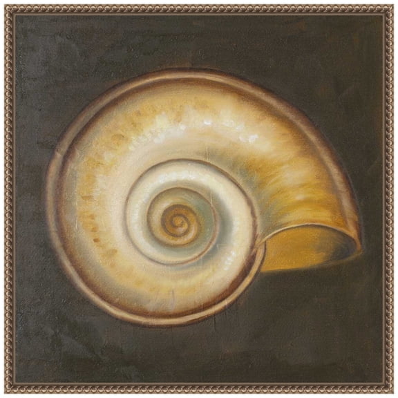 Amanti Art Seashell I Framed Canvas Wall Art Print