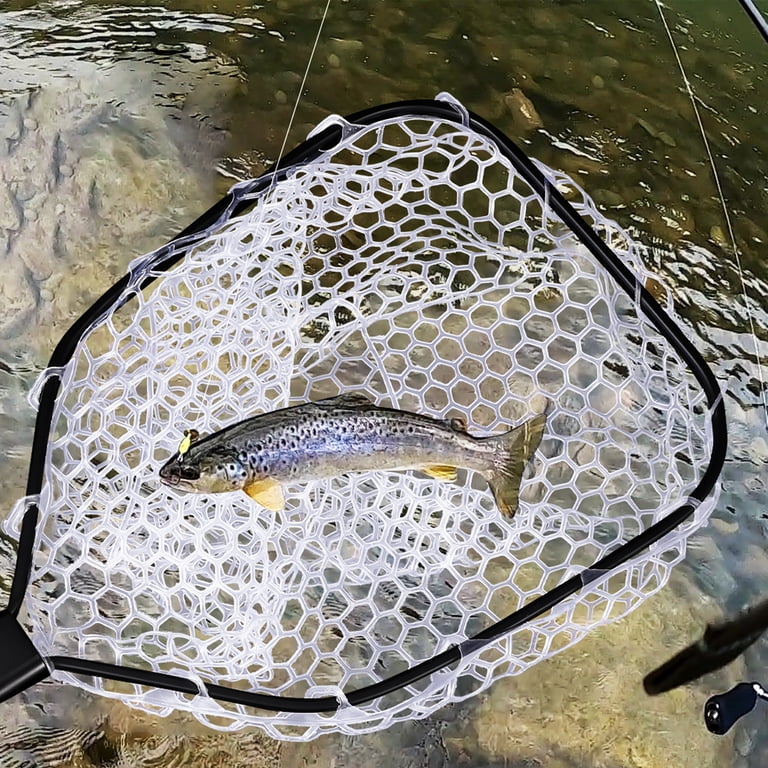 best light fishing pole Best Bass Fishing Rods