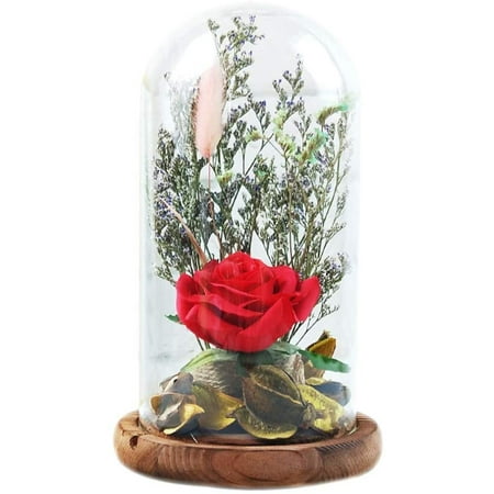 Everlasting Red Real Enchanted Rose Kit Forever Preserved Rose Flower ...