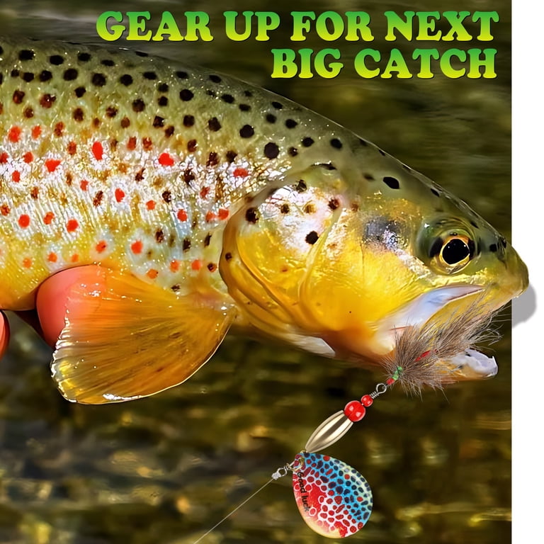 abel fly reels closeouts Abel TR 2/3 Fly Reel, Native Brown