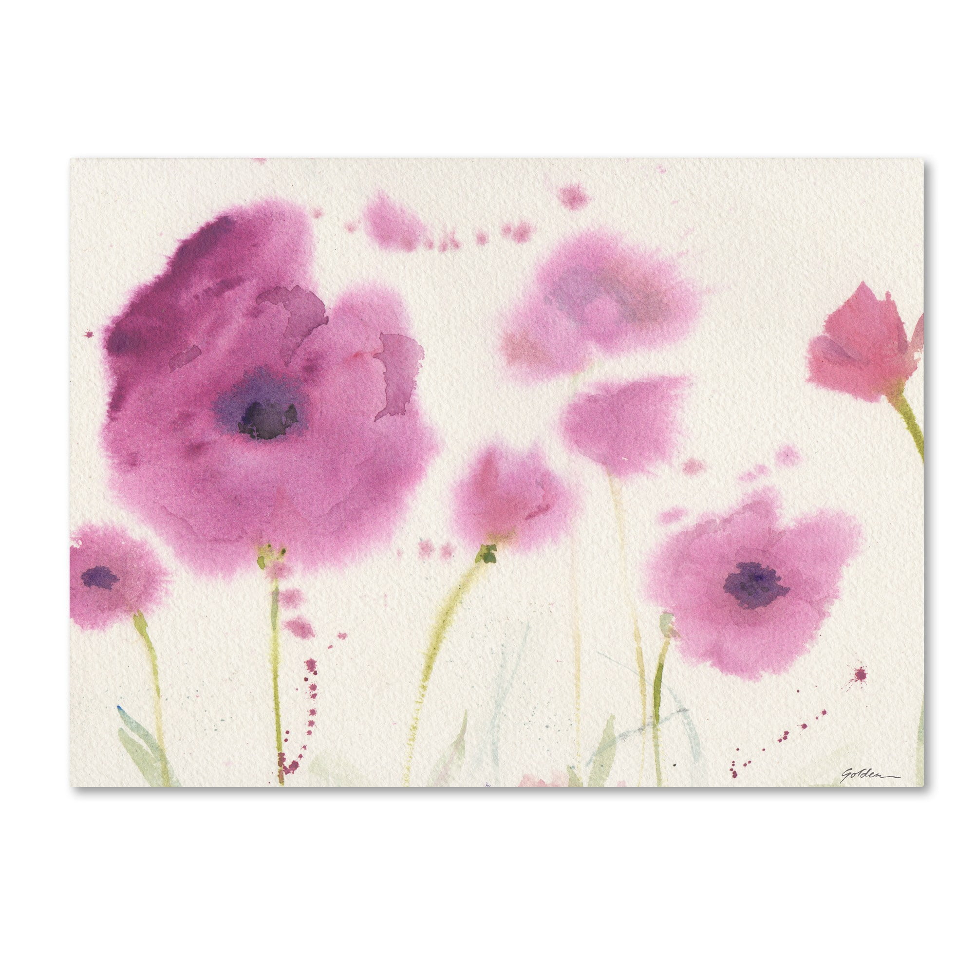 Trademark Fine Art "Purple Poppies" Canvas Art by Sheila Golden